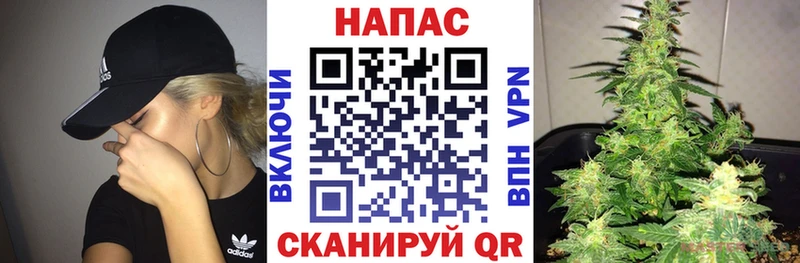 Бошки Шишки планчик MEGA ТОР Магнитогорск